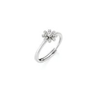 Anillo Amen Mujer COCCOLE LUXURY in Plata Zircone ANFIPBBZ3